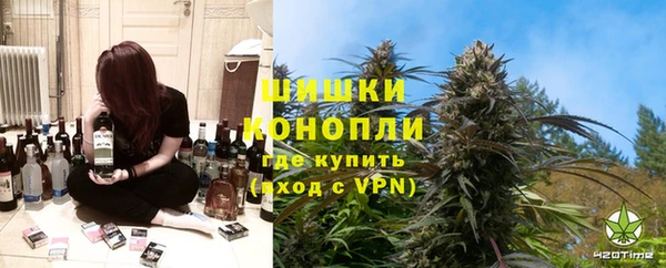 apvp Алзамай