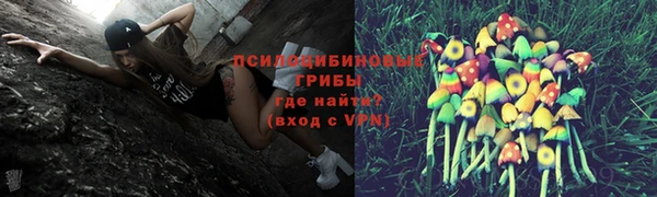 apvp Алзамай
