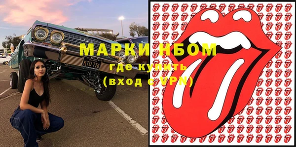 apvp Алзамай